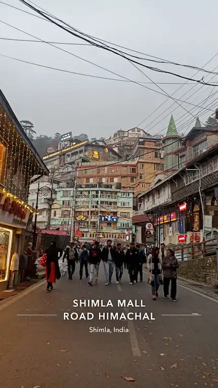 Day 03: Shimla-Manali (270 Kms 9 Hrs)