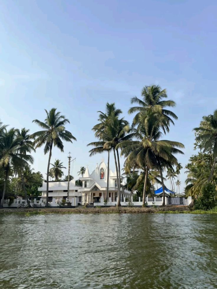 Day 5: Drive from Thekkady to Alleppey