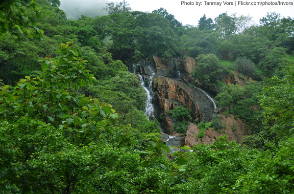 WHAT WILL YOU ENJOY AT POLO FOREST