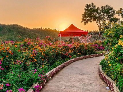 WHAT WILL YOU ENJOY THE STATUE OF UNITY