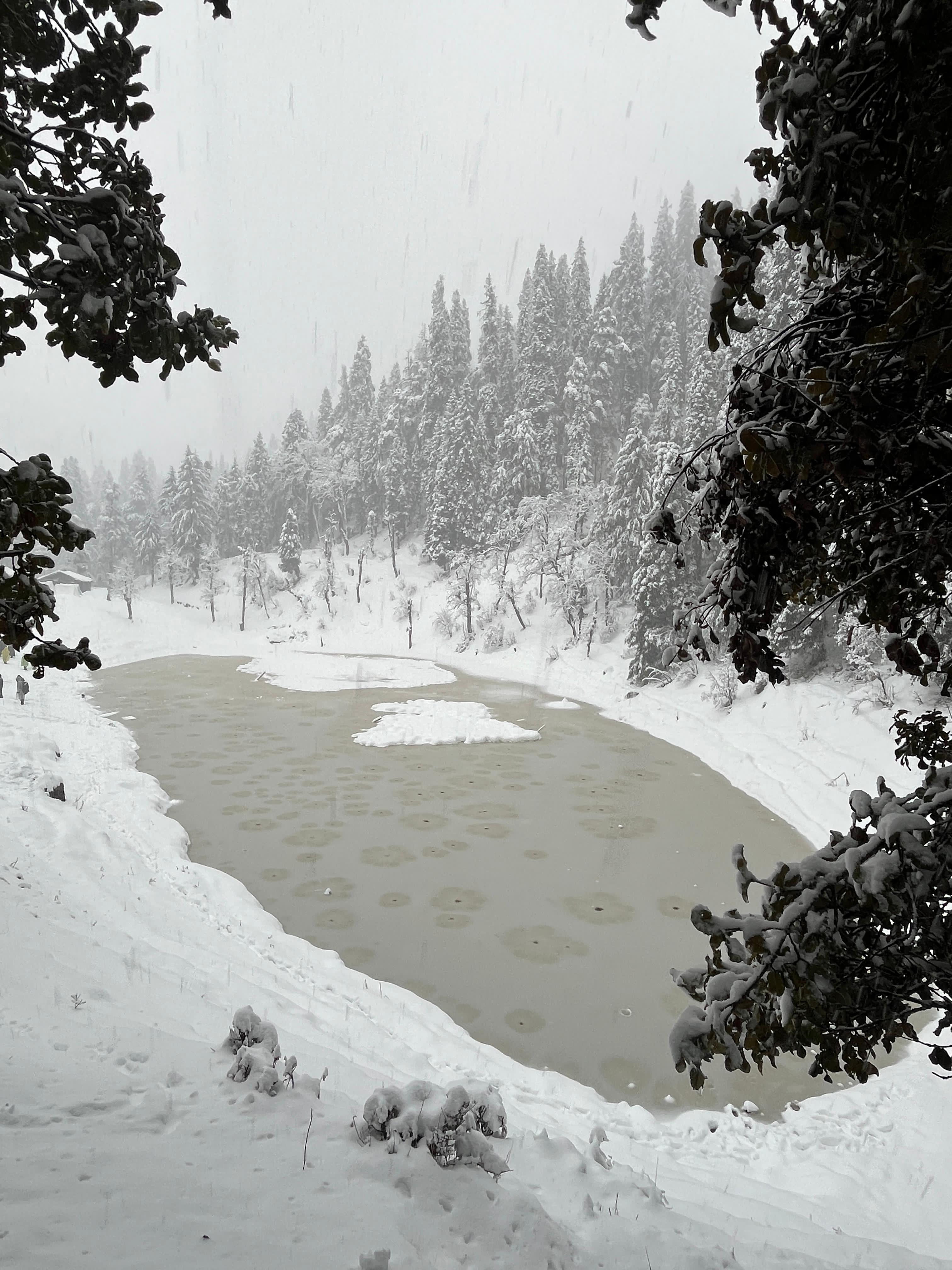 Sankri to Juda Ka Taal/ Hargaoun Camp | Trekking Begins