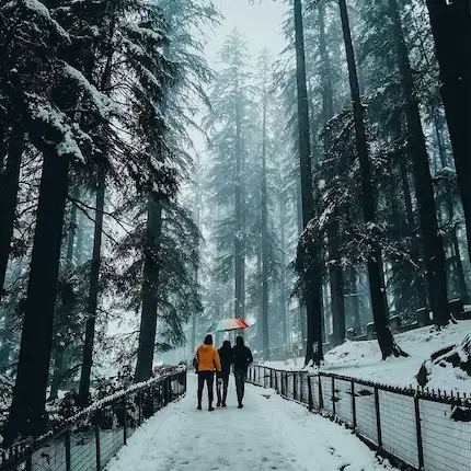 Shimla-Manali Tour - Ahmedabad