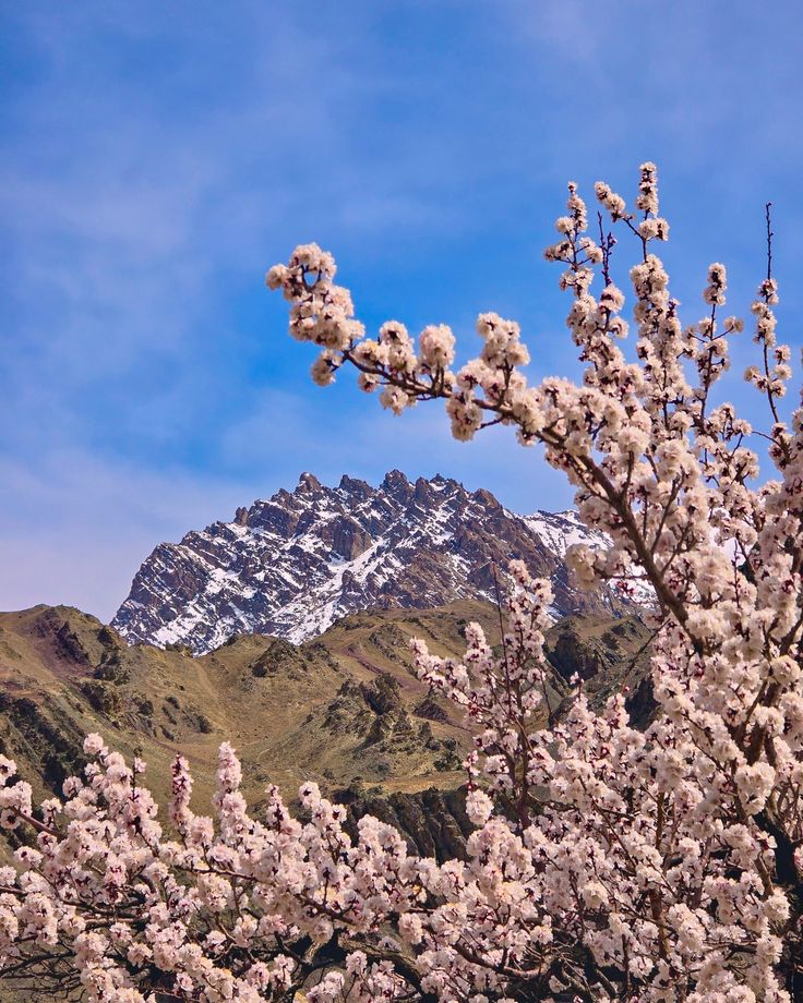 LEH 04 N + NUBRA 01 N + PANGONG 01N TOUR PACKAGE