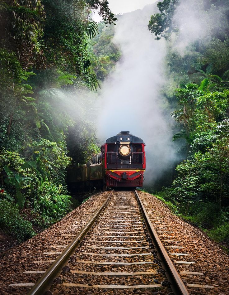 DARJEELING 03 N TOUR PACKAGE