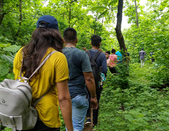 Bakor One Day Tour | Waterfall, Trekking &amp; Eco Tourism in Gujarat