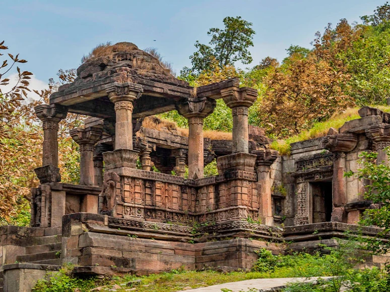 Polo Forest One Day Tour | Trekking &amp; Nature Trip from Ahmedabad image