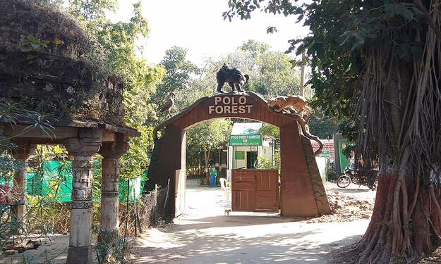 Polo Forest One Day Tour | Trekking &amp; Nature Trip from Ahmedabad image