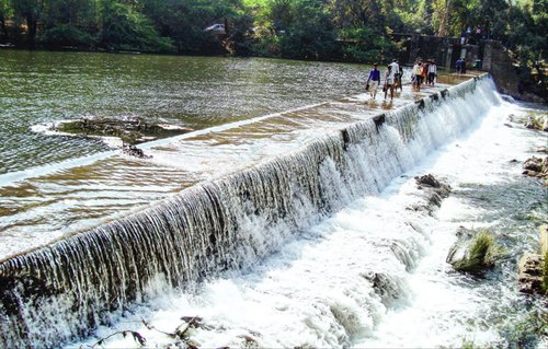 Polo Forest One Day Tour | Trekking &amp; Nature Trip from Ahmedabad image