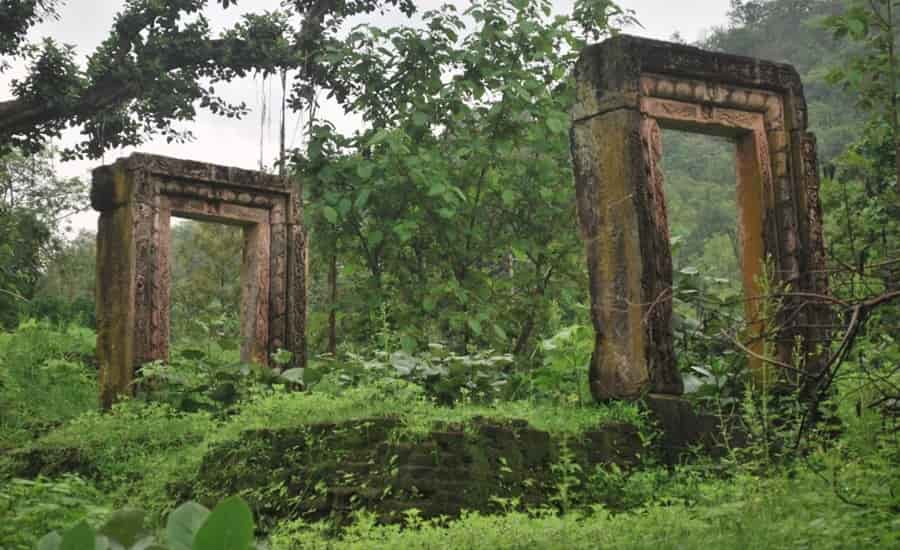 Polo Forest One Day Tour | Trekking &amp; Nature Trip from Ahmedabad image