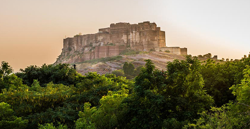 Jodhpur Jaisalmer Tour Package | Forts, Desert Safari and Camping