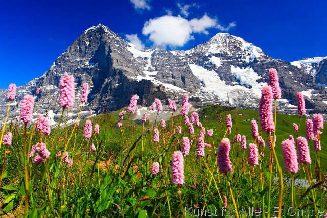 Valley of Flowers – A Stunning Himalayan Paradise of Blooming Beauty