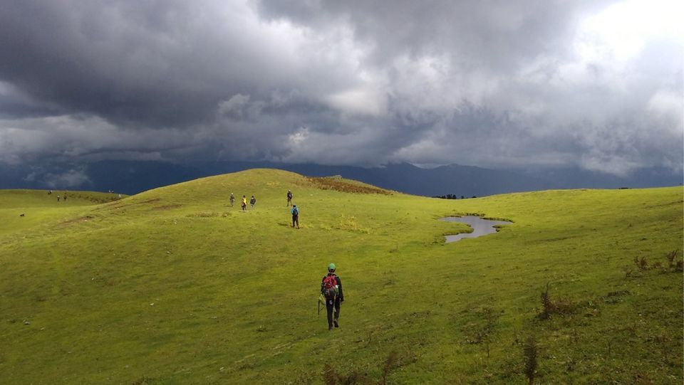 Dayara Bugyal Trek - Best Himalayan Meadow Trek