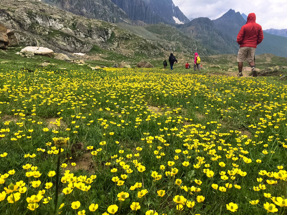 Kashmir Great Lakes Trek – A Journey Through Paradise