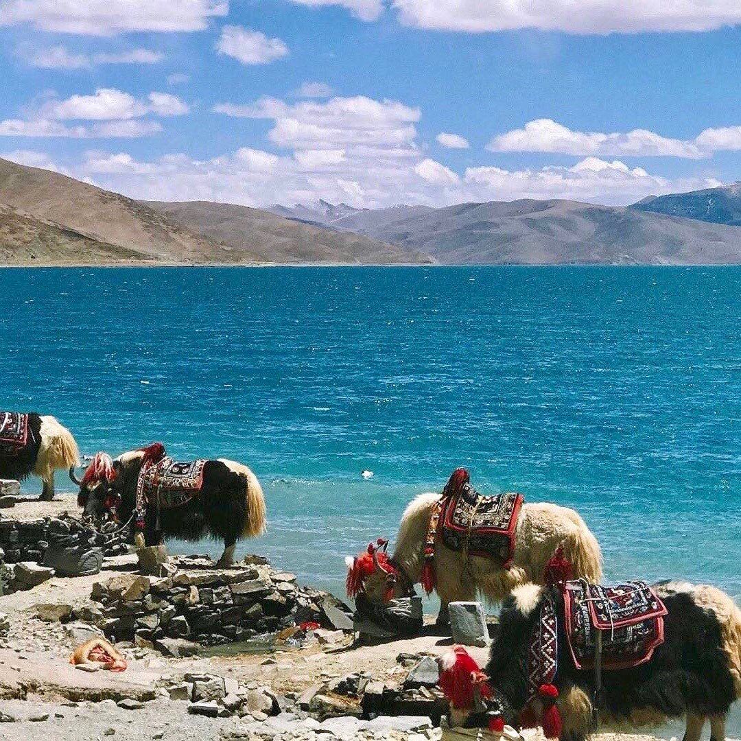 Gangtok 03 N + Lachen 01 N + Lachung 01 N + Pelling 02 N + Darjeeling 02 N TOUR PACKAGE