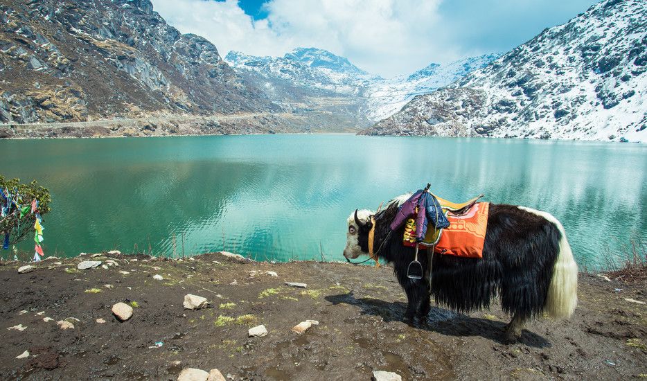 GANGTOK 03 N + PELLING 02 N + DARJEELING 02 N TOUR PACKAGE