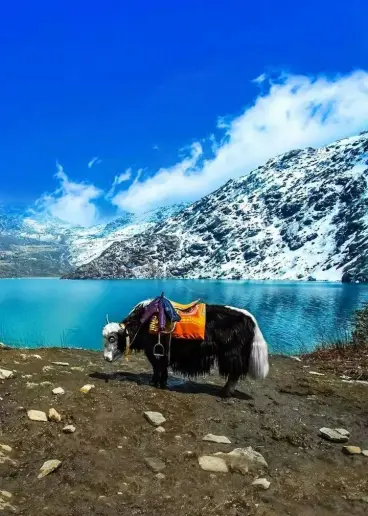 GANGTOK 02 N + PELLING 02 N + DARJEELING 02 N TOUR PACKAGE Event