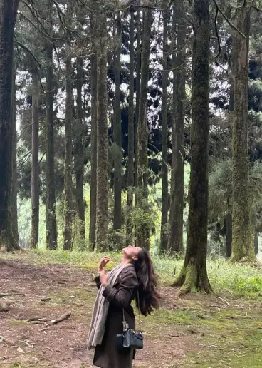 GANGTOK 03 N + LACHEN 01 N + LACHUNG 01 + DARJEELING 02 N TOUR PACKAGE Event