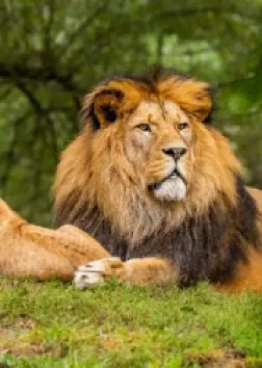 1N SASANGIR, 1N SOMNATH, DIU TOUR PACKAGE Event