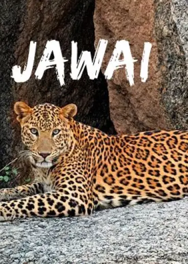 Jawai Ranakpur Udaipur - Ahmedabad