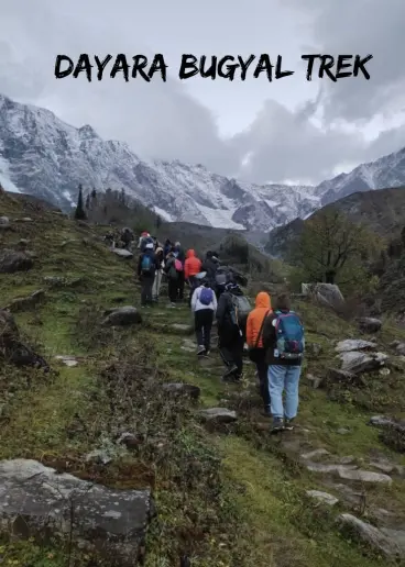Dayara Bugyal Trek - Best Himalayan Meadow Trek Event