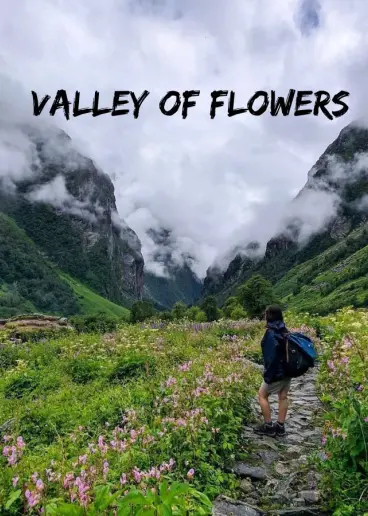 Valley of Flowers – A Stunning Himalayan Paradise of Blooming Beauty