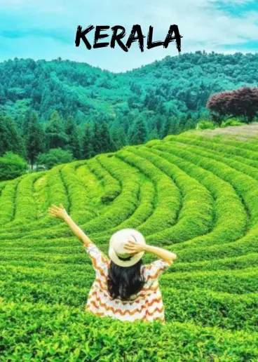 MUNNAR 02N + THEKKADY 01 TOUR PACKAGE Event